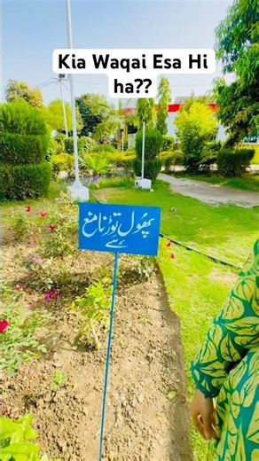 Phool torna Manha hai 🚨 | motivation speach 😱 | Red Rose Story 💕share it #youtubeshorts