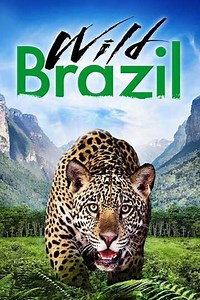 Wild Brazil (2014) - Season 1 Episodes and Ratings