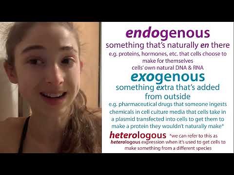 Endogenous vs. Exogenous - terminology, techniques, and biochemistry experimental considerations