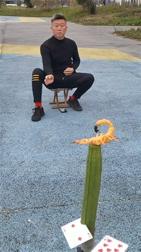 Flying Card Trick, Unbelievable Cards Comparable to Throwing Knives