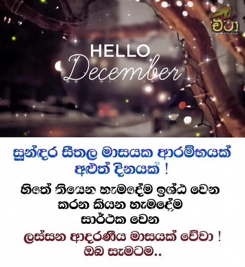 #Hello_December ❤️ #melano_sl #cheetah