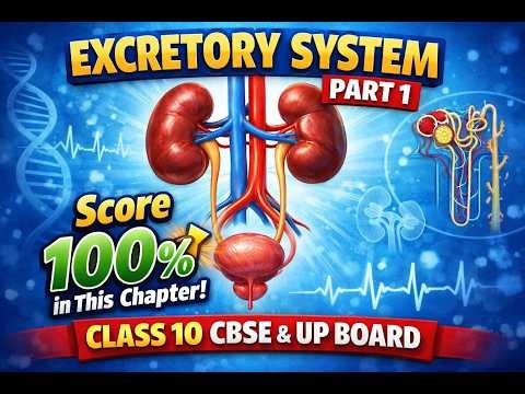 Excretory System Part 1 | Score 100% in This Chapter | |CBSE & UP BOARD Class 10