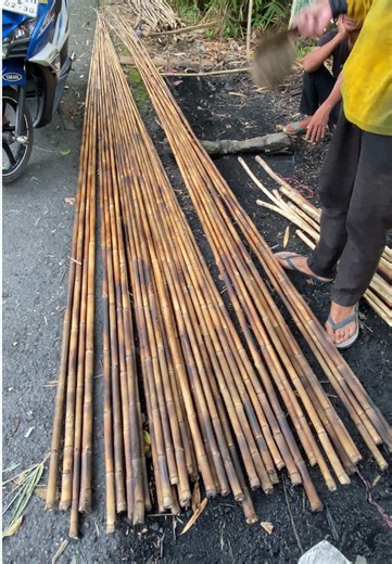 Tuntung Sudah Amang Mangadang Unjun