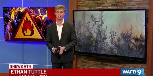 Ascension parish implements burn ban amid wave of Louisiana wildfires