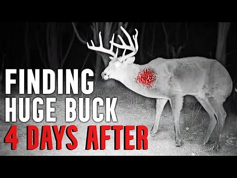 Thermal Drone Finds Big Buck 4 days After Shot￼