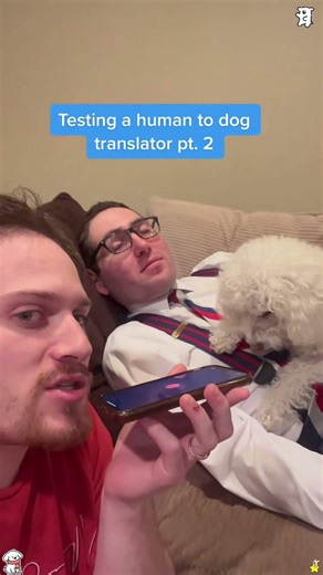 Dog Translator Test — He Actually Talked Back! 🐾😂 #shorts #viralvideo #dog #cat#funny