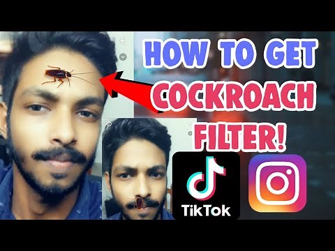 How To Get Cockroach Filter Tiktok Snachat Instagram | how to use Roach Filter Tiktok