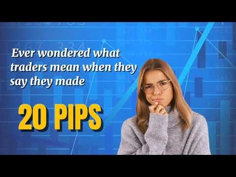 What is a Pip ?