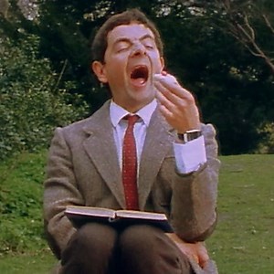 You know when you are trying to have peaceful day in the park... and then the bugs appear😆 | Mr Bean