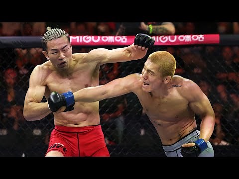 The Best Finishes From Road to UFC Season 2 Fighters