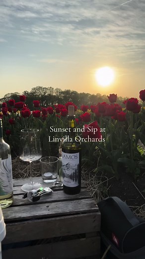 Sunset and Sip Event at Linvilla Orchards