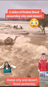119 reactions · 18 shares | What caused Floods to occur in the desert my people? Climate change??? I feel for these animals and people of Dubai indeed. We love and pray for you Dubai  #dubairain #dubai | Vera Mimba Tamfu | Facebook