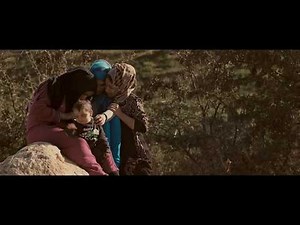 Delicate Balance Trailer