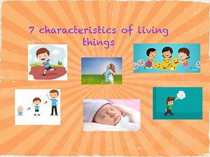 7 Characteristics of living things