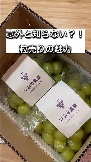 それぞれ魅力たっぷり😍 #ぶどう栽培 #ぶどう #シャインマスカット #ぶどう #ぶどう農家 #つぶ彦農園