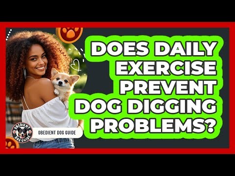 Does Daily Exercise Prevent Dog Digging Problems?