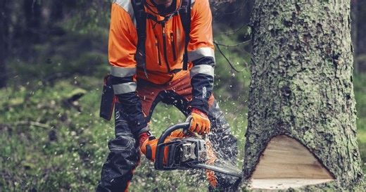 Top Professional Chainsaws - Arborists & More