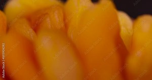 dried apricots in a wooden bowl, sweet dried fruits dried pieces of pitted apricots