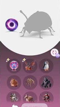 #animash #tiger #bigcat