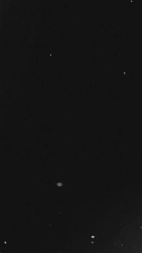 12 reactions | ✨ Happy Anniversary to a Truly Special Couple ✨ Today...