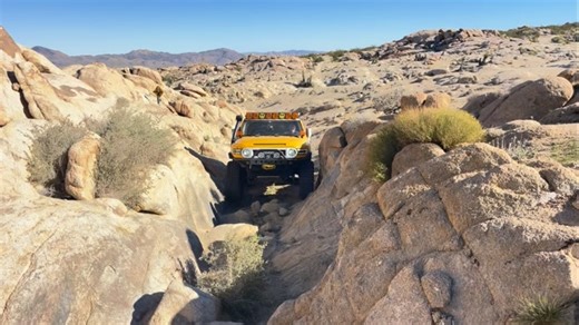 FJ Cruiser Yellow on Instagram: "#fjcruiser #fjcruisernation #toyotanation #toyotalife #トヨタグラム"