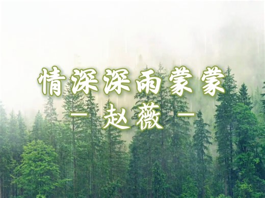 【赵 薇】情深深雨蒙蒙（电视剧《情深深雨濛濛》主题曲）动态&歌词〔完整