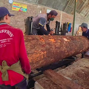 221K views · 1.1K reactions | the process of sawmill wood with less safety | Sawmill & Woodworking | Facebook
