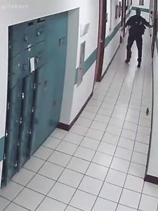 Pronto Falei on Reels