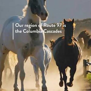 Discover Route 97 | Road Trips