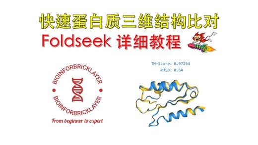 【生信进阶之路｜技能篇12】Foldseek快速蛋白质结构比对