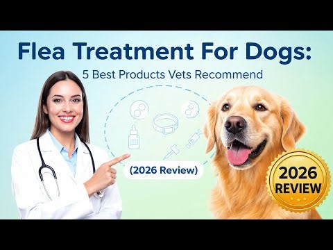 Flea Treatment For Dogs 5 Best Products Vets Recommend (2026 Review)
