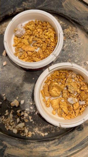 2025 gold viewing- guess the weight! #gold #mountains #metaldetecting #minelab #adventure