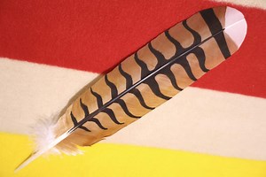 Native American Made Red Tailed Hawk Feather: Hand Painted - Etsy