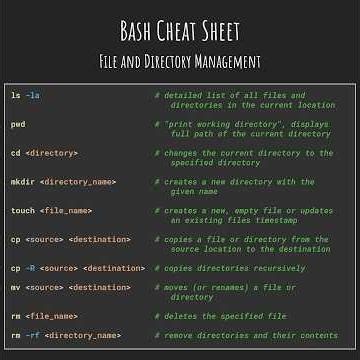 Bash Commands | File & Directory Management