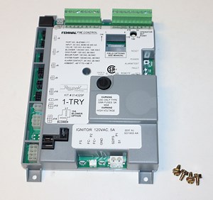 Raypak 014325F Ignition Control Single-Try