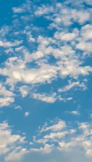 Exploring Love Through Emotional Videos