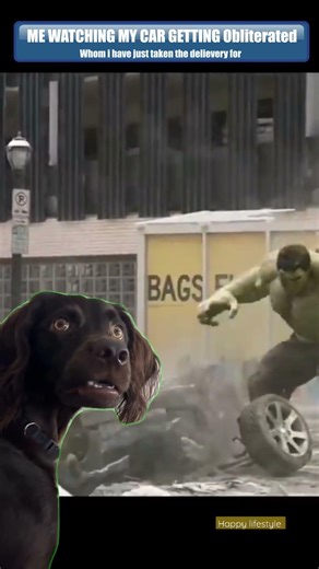 #marvel #spiderman #memes #harrypotter #peterparker #funny #marvelstudios #avengers #mcu #thor