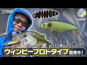 Winbee that can be used with bait is under development! Explanation of the prototype heavy weight...