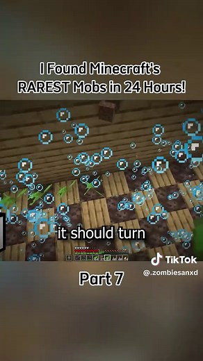 Discovering Minecraft's Rarest Mobs in 24 Hours!