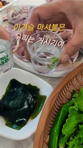 지금 먹어야 제맛! #전어회 #전어 #전어구이 #가을 #음식 #food #맛집 #맛집탐방 #전라도사투리 #사투리 #힐링 #Shorts