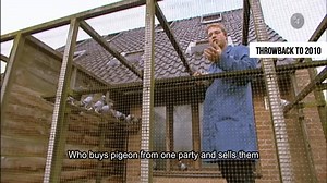 Throwback time to 2010! ↩️😁 A Belgian TV channel made a report on PIPA for the program 'Vlaanderen Vandaag'. In this year we sold pigeon “Euro Diamond” for 170,000 euros, which was a record at the time. | PIPA