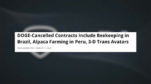 5.1K views · 133 reactions | Compilation of leftist pet projects that DOGE has cut | CNSNews.com | Facebook