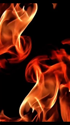 📍 Bedford Heights OH - GRAND OPENING! 1/4 Cow eqv. Specials. Steak Bundles, King Crab Legs, Chop Boxes, Seafood Specials & more at our Grand Opening! 🏆Like! Comment! Tag! WIN FREE PRODUCTS! 🏆 LOCATION: 📍Bedford Heights OH Lowe's Home Improvement 24500 Miles Rd, Bedford Heights, OH 44146 DATES: 📆 Oct 18-19th Sat 8a-7p Sun 930a-530p Limited Grand Opening Specials*: 🥩 20 Ribeyes for $49.99 🥩 8 Strips for $49.99 1/4 Cow Eqv - Starting at $625 These are very popular & we do run out! ⏩ 4.8⭐️ on