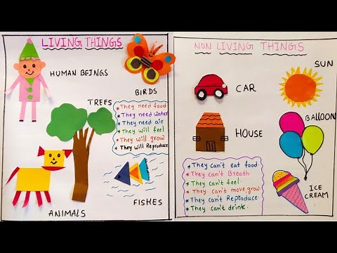 Living and Non Living things project / How to draw living and non living things / preschool Activity