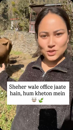 5.2K views · 2.7K reactions | Sheher wale job pe jaate hain, hum nature ke saath kaam karte hain  #pahadilife #villagevibes #himachalvlog #pahadivibes #mountainlife #pahadiculture #simpleliving #desivibes #lifeinmountains #himachaldiaries #ruralvlog #pahadigirl #villagevlog #naturelove #pahadidairies #pahadireel #indianvillage #peacefullife #himachalpradesh #viralreeĺ #pahadan | Alisha Thakur | Facebook