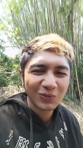 asli karapa 2pao kai ma toi #mioli #firal #fyp @Sorotan