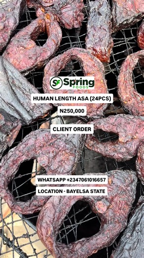 USA 🇺🇸 CLIENT ORDER 💃💃💃💃 Human length size Asa cut into 24PCS smoking fresh for our ogbenge USA 🇺🇸 customer. Fishes available to be smoked dried and frozen are 👇🏻 Shinny nose Red snappers Barracuda River catfish ASA Frozen shipment to CANADA 🇨🇦 goes out on 6th of February and 13thth to USA 🇺🇸 . Are you craving fresh seafoods ( snails, fish, periwinkle, prawns, shrimps, and more ) straight from Bayelsa State, Nigeria 🇳🇬? We are your best plug 🔌 Hurry now - order for your seafoods