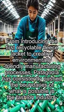 The Remarkable Story of Patagonia: From Rebel to Environmental Icon