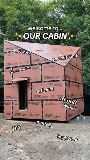 11K views · 136 reactions | Time for a cabin tour (kinda) 凉 #reels #cabin #cabinlife #tinyhouse #lifegoals #housetour | Advice With Erin | Facebook