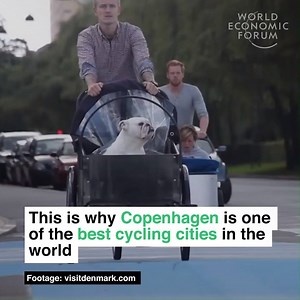 The activity is a part of the culture. Learn more about the benefits of cycling: https://wef.ch/2sDcend | World Economic Forum